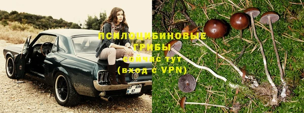 mix Новодвинск