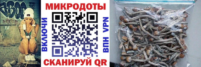 blacksprut ссылка  как найти наркотики  Семилуки  Галлюциногенные грибы Cubensis 